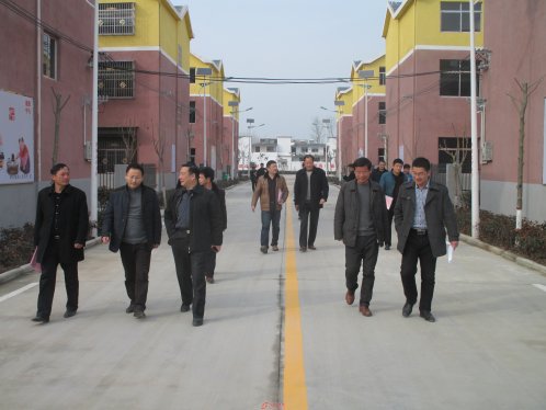 阜阳市美好乡村检查组到界首市新马集镇检查美好乡村建设