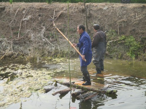 界首市新马集镇掀起环境整治高潮