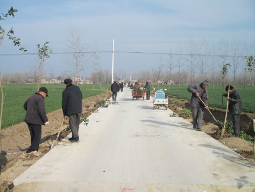 春季植树造林美化道路环境（图）