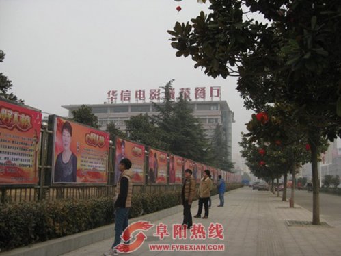 “花香”蝶自来