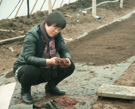 养殖地龙奔富路