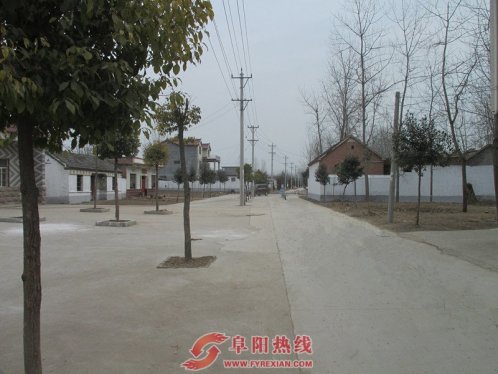 界首市新马集绿化、美化村庄