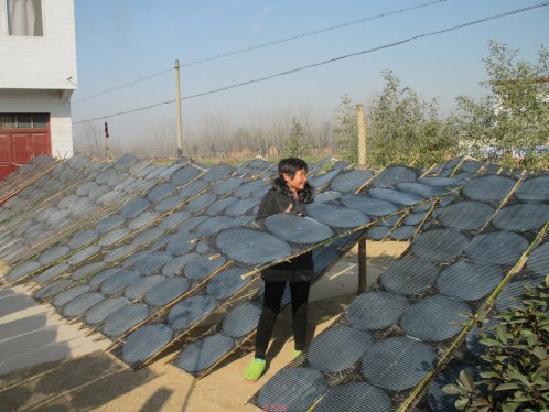 界首：敢为人先引进机械化生产  为传统工艺注入新活力