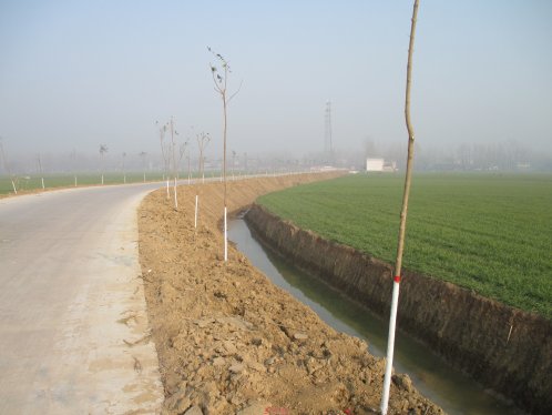 界首市新马集镇于桥村：环境整治提升村庄居住水平