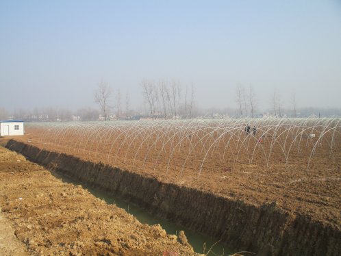 界首新马集镇：冬耕细作种瓜忙  村民走上种植经济作物致富之路