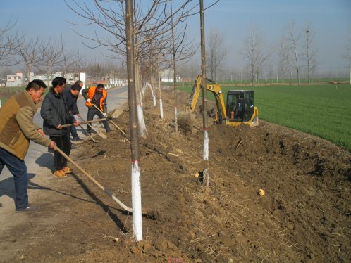 界首市新马集：农村环境整治再加压、再掀整治高潮