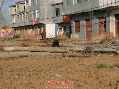 界首舒庄镇：环境综合整治重实效更顺民意