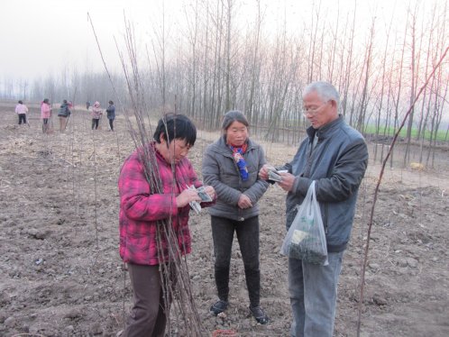 界首王集镇秦庄村：我们支持土地流转！