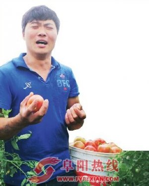 阜阳“种菜哥”受邀参加《出彩中国人》或将登上央视舞台