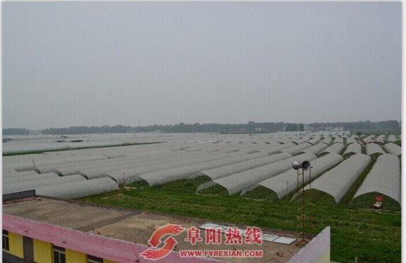 界首市齐聚要素创新打造农村“两区”产居一体化(图)