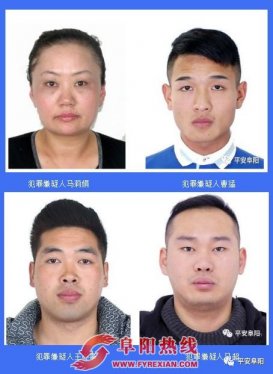 关于检举揭发马莉娟等人违法犯罪行为线索的通告