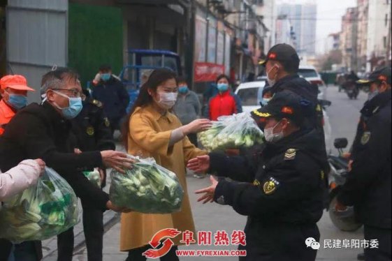 棵棵爱心菜 传递民建情