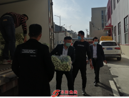 民建送温暖，青菜颗颗传！