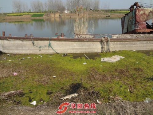 八旬老人失足落水，好心村民暖心救助