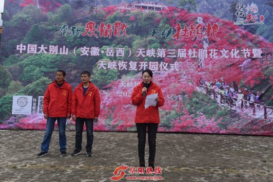 2020大别山（安徽·岳西）天峡第三届杜鹃花文化节暨