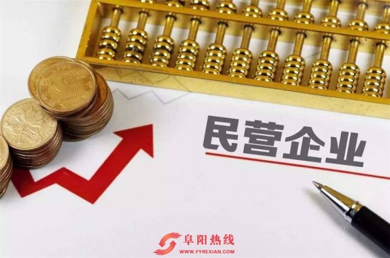 阜阳市民营企业表现抢眼