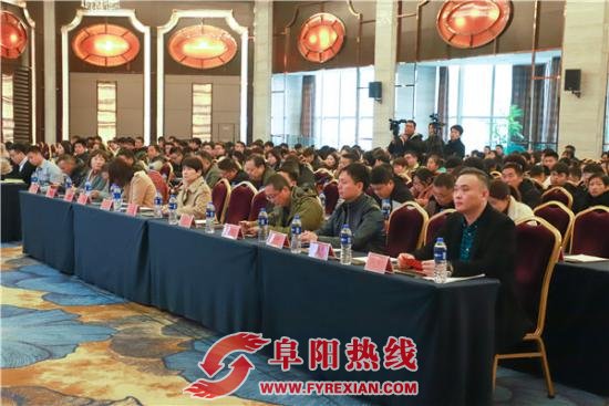 阜阳市电商发展论坛2019“阜创汇”农村电商职业技能颁奖顺利举行