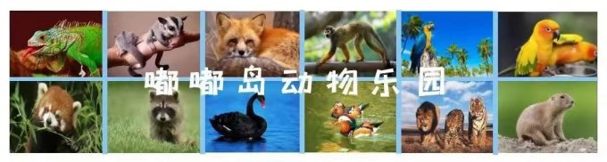 阜阳首家室内动物园开业,百余种珍稀动物等你来撩