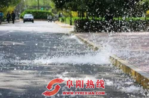 阜阳市多举措治理杨柳絮问题