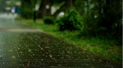 本周多阴雨,秋裤还得穿