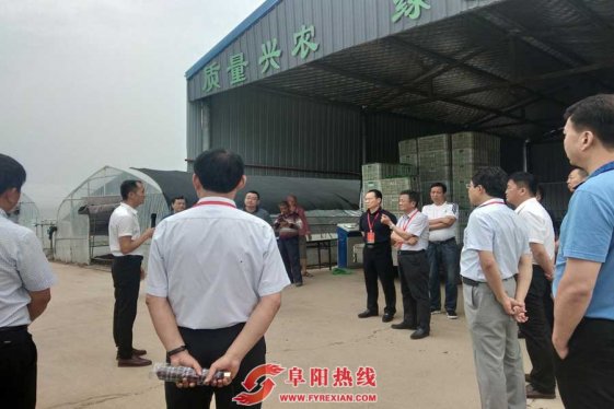 区人大调研资产收益扶贫民生工程