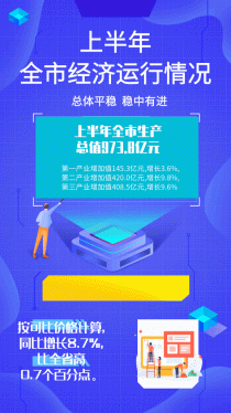 阜阳上半年的经济运营情况