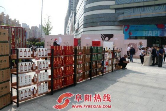 “好酒自家酿”阜阳市民亲身体验文王贡自家酿造