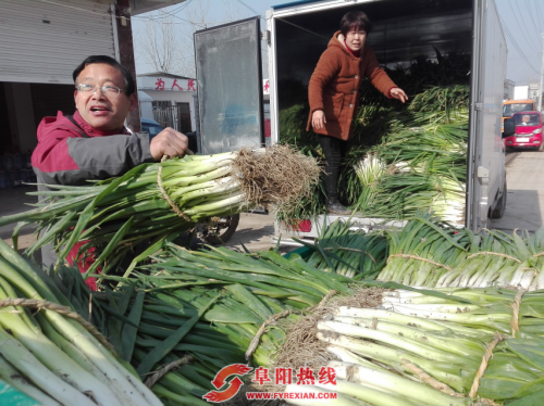 “扶贫”农产品滞销  驻村帮扶拓销路