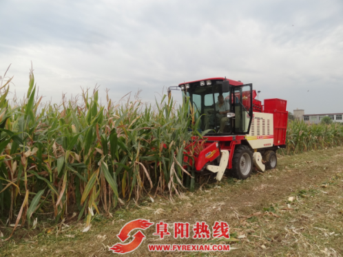 颍州区积极做好“三秋”农机化生产和秸秆机械化还田民生工作