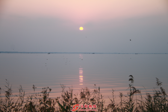 阜阳与宿迁“交换秋天”活动正式启动
