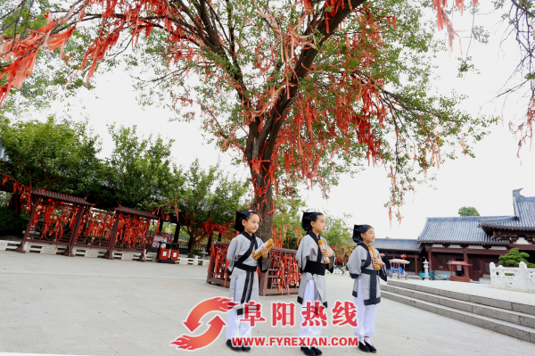 微信图片_20180915191141