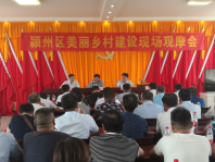 颍州区召开美丽乡村建设现场观摩会