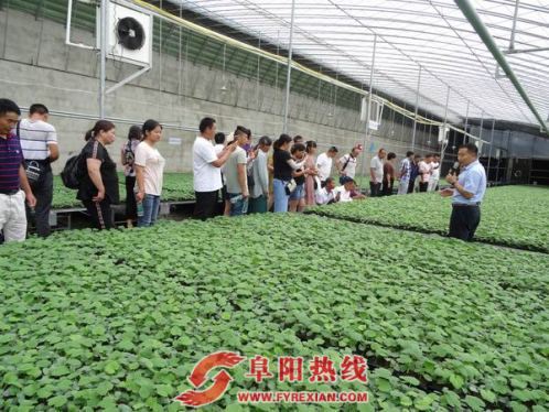 颍州区组织新型职业农民培训学员异地实训