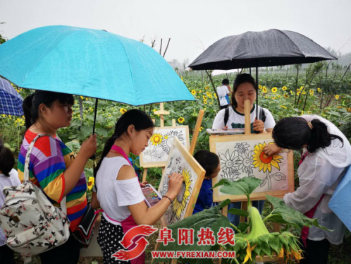 全国人口第一临泉县 首届葵花艺术节盛大开幕