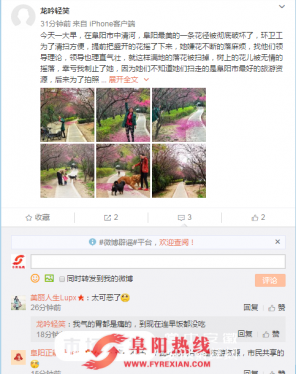 阜阳一环卫工人因嫌落花难打扫竟“提前”把花摇下来