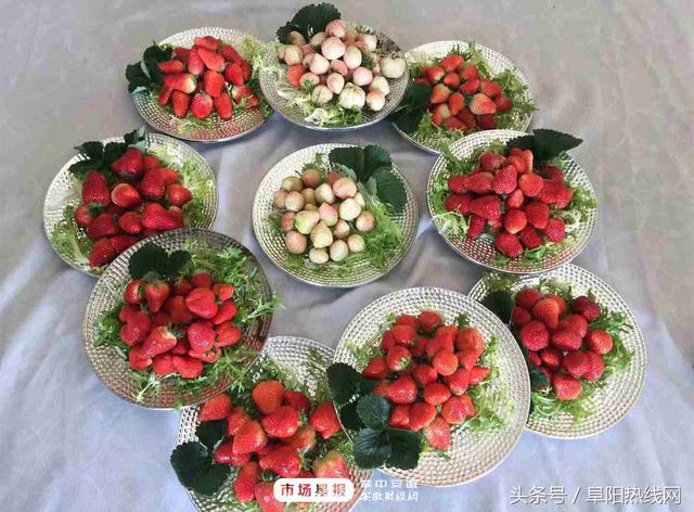 阜阳第二届草莓文化节将于3月下旬举办