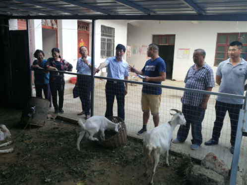 安徽颍州区民政局冒高温调研郝庄社区扶贫工作