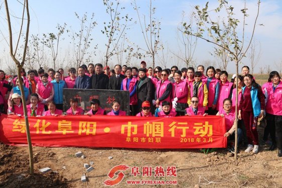 绿化阜阳 巾帼在行动