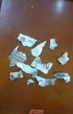 阜阳一女子撕毁人民币 结果被处罚1000元