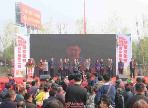 阜阳第二届草莓文化节3月25日盛大开幕