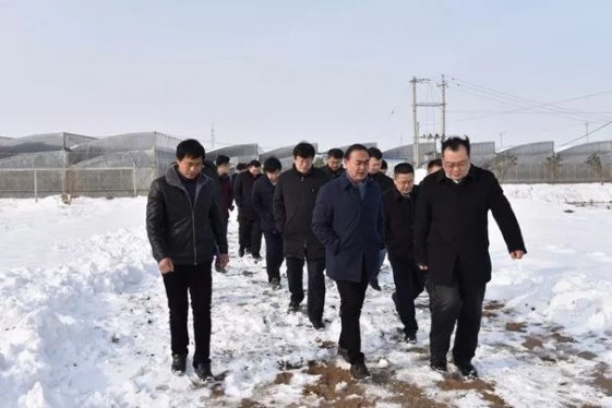 孙正东到颍泉区检查指导抗雪防冻救灾工作