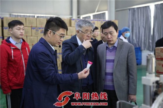 7位院士齐聚界首把脉经济发展