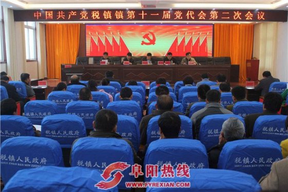 太和税镇镇隆重召开第十一次党代会第二次会议