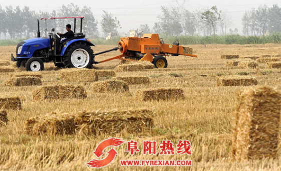 今年阜阳市秸秆综合利用率有望达85%