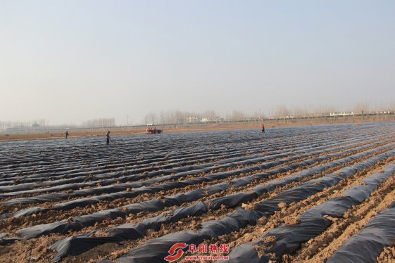 春季田间耕种忙