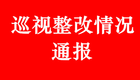 重磅！市委关于十届省委第二轮巡视整改情况的通报