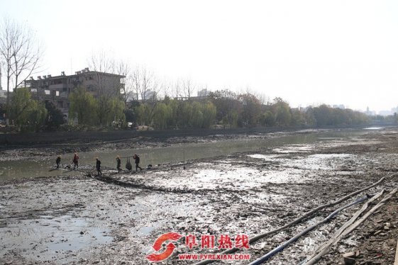 今年 阜阳有14条黑臭水体将完成治理目标