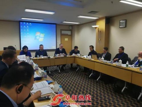 阜南县委书记崔黎受邀在国际研讨会上介绍阜南经验