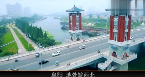 阜阳市委常委会审议通过，将旅游业培育成重要支柱产业