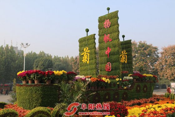 阜城菊展，29天少了约3千盆菊花，这个事你怎么看